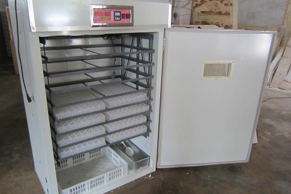 全自動孵化機使用方法？多少錢一臺？
