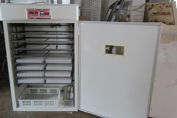 全自動孵化機使用方法？多少錢一臺？