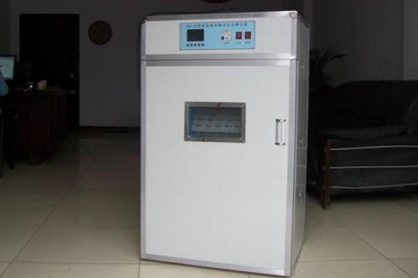 全自動孵化機使用方法？多少錢一臺？