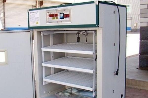 全自動孵化機使用方法？多少錢一臺？