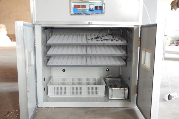 全自動孵化機使用方法？多少錢一臺？