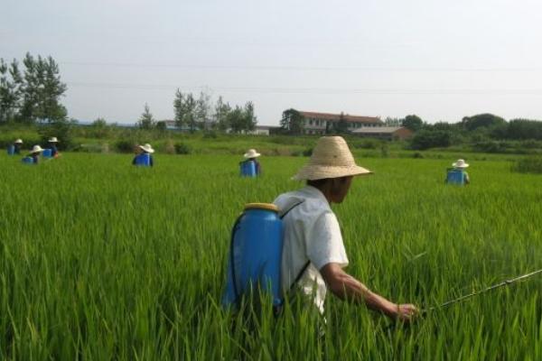 農藥業務員一年掙多少？提成多少？好做嗎？提成多少？