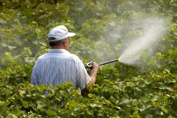 農藥業務員一年掙多少？提成多少？好做嗎？提成多少？