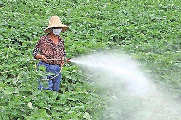 農藥業務員一年掙多少？提成多少？好做嗎？提成多少？