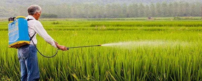 農藥業務員一年掙多少？提成多少？好做嗎？提成多少？