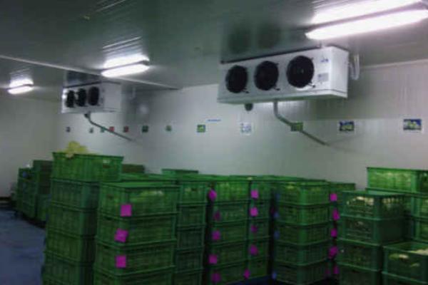 冷庫儲存蔬菜利潤多大?一般能儲多長時間?