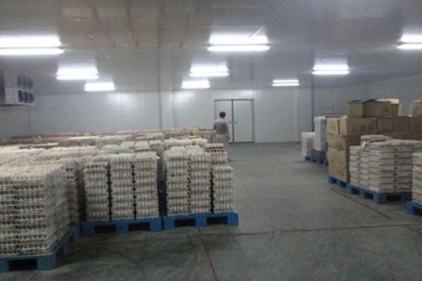 冷庫儲存蔬菜利潤多大?一般能儲多長時間?