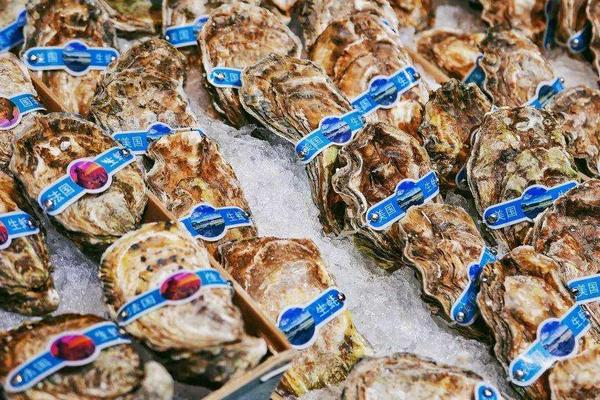 水產(chǎn)生意一月能賺多少?有多暴力?怎么入手?好做嗎?