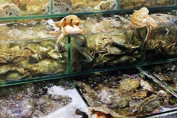 水產(chǎn)生意一月能賺多少?有多暴力?怎么入手?好做嗎?