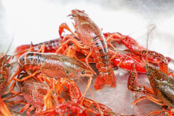 殺小龍蝦的教程（正確的方法步驟）