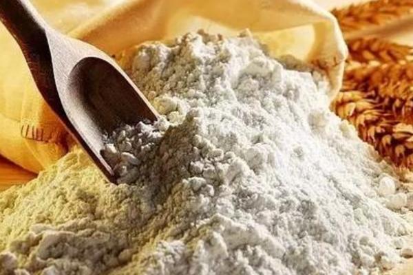河套小麥粉為啥那么貴？是低筋粉嗎？能做面包嗎？