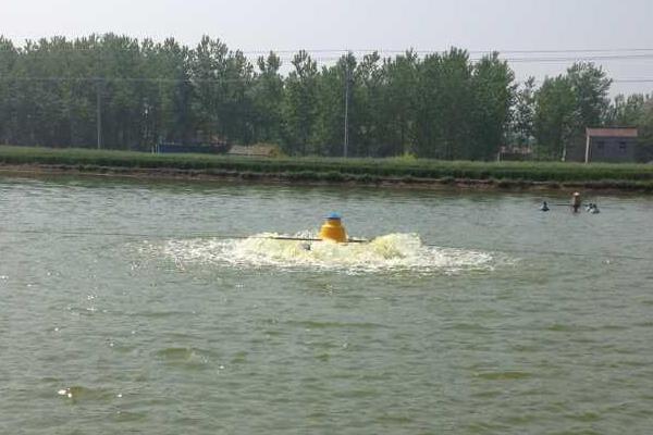 魚塘的增氧最佳時間是好久?魚塘增氧機多少錢一臺