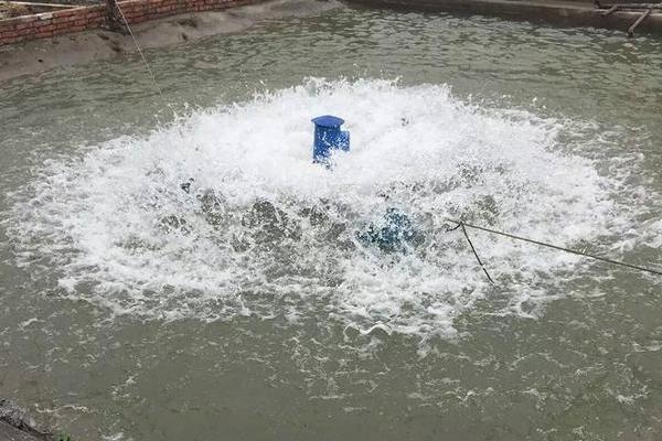 魚塘的增氧最佳時間是好久?魚塘增氧機多少錢一臺