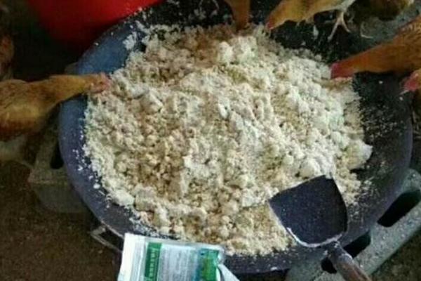 豆渣養雞的方法和配方