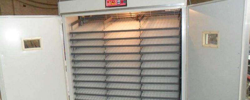 全自動孵化機使用方法？多少錢一臺？