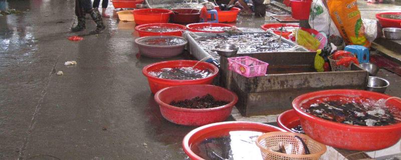 水產生意一月能賺多少？有多暴力？怎么入手？好做嗎？