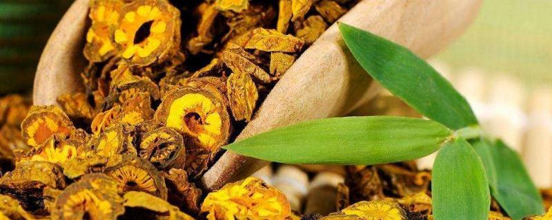 黃連種植技術和畝收益,附常見病蟲害防治方法