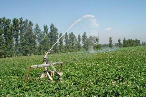 40畝做噴灌要多少成本？噴灌設(shè)備多少錢一畝？