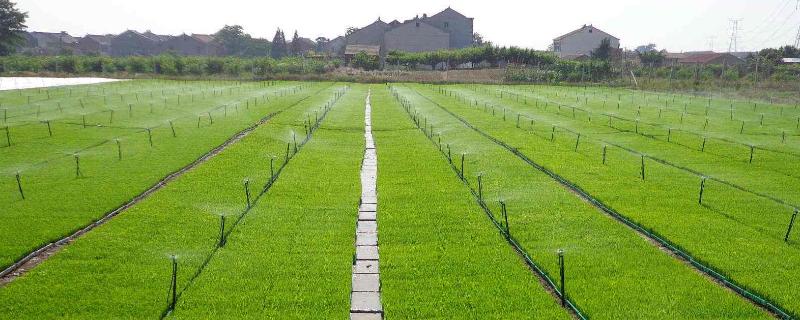 40畝做噴灌要多少成本？噴灌設(shè)備多少錢一畝？