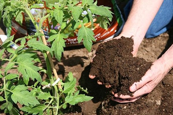 有機肥怎么這么難賣？為什么越來越多人不再用有機肥了？