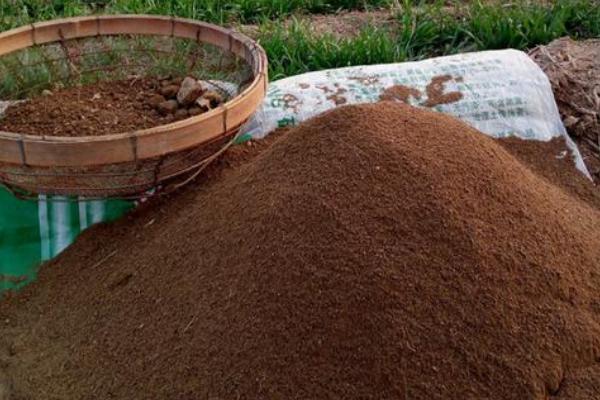 有機肥怎么這么難賣？為什么越來越多人不再用有機肥了？