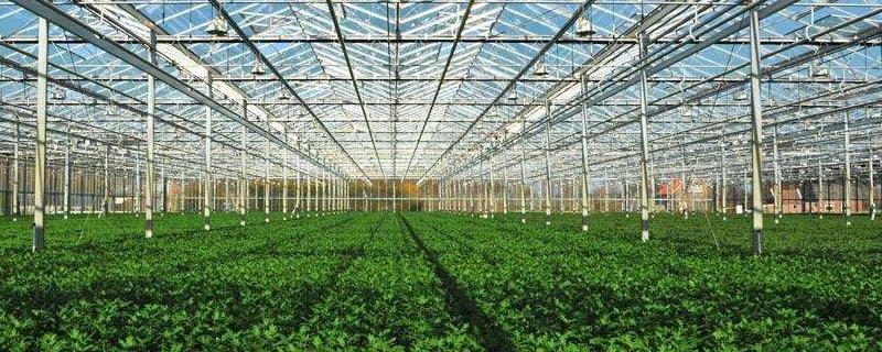 蔬菜大棚怎么搭建牢固，一般需要多少錢