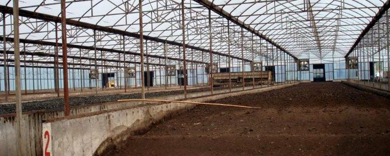 有機肥怎么這么難賣？為什么越來越多人不再用有機肥了？