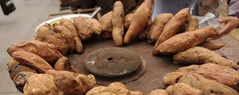 擺地?cái)偪炯t薯技巧，利潤(rùn)如何