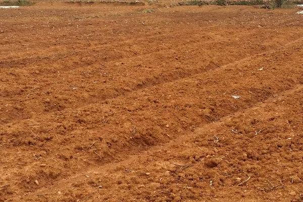 正確施用磷肥的方法,附注意事項(xiàng)