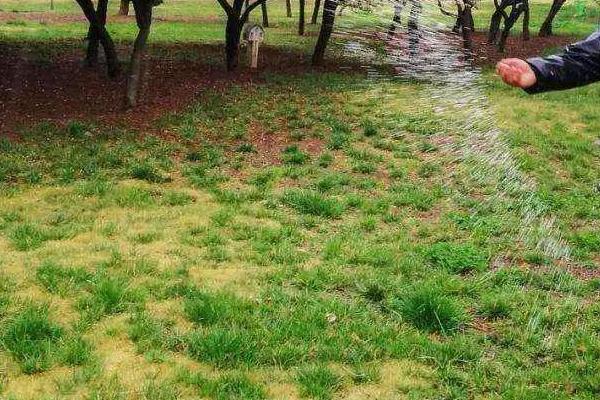 正確施用磷肥的方法,附注意事項(xiàng)