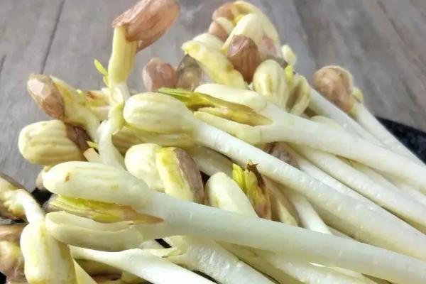 花生苗怎么做著好吃，附3種常見炒法